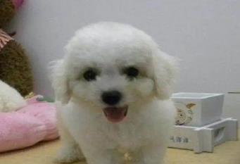 /uploads/20230621/08e4cd4764afdbf7b6b2083cd9679701.jpg