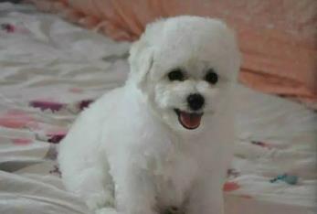 /uploads/20230621/e9ab73d578263bde310e51cb54340bd3.jpg